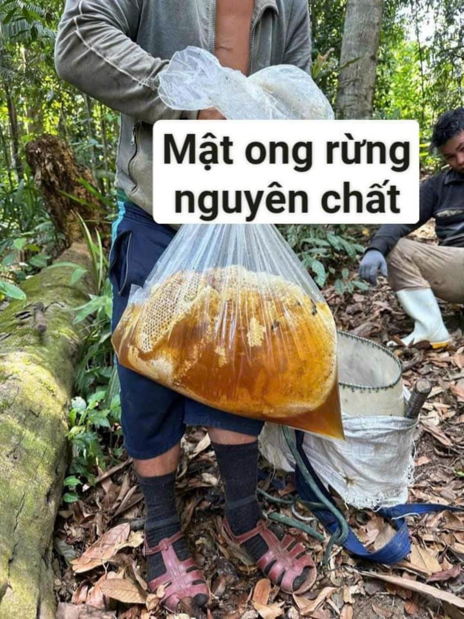 Homestay Ho Son - Thac Anor A Luoi Bagian luar foto