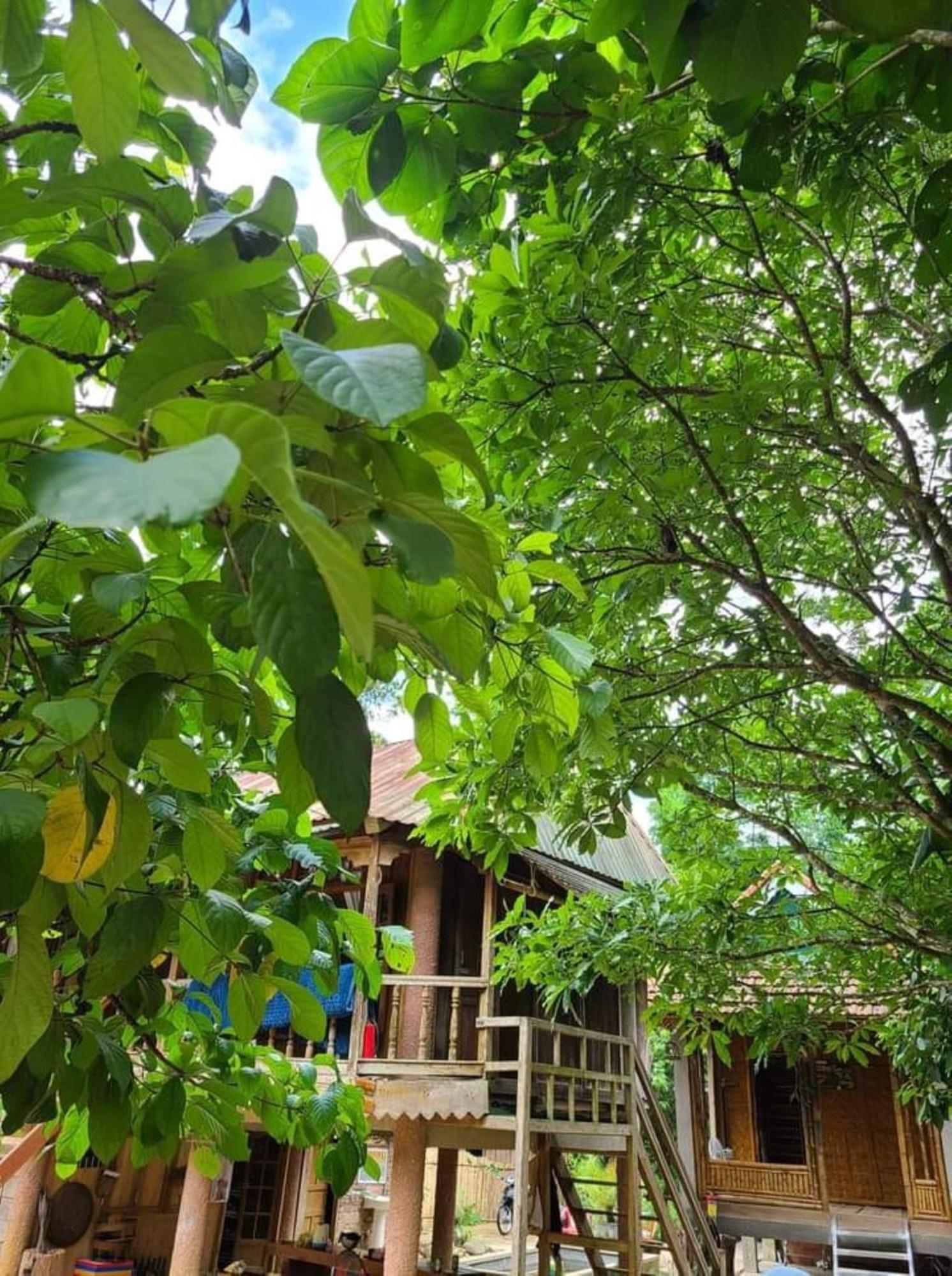 Homestay Ho Son - Thac Anor A Luoi Bagian luar foto